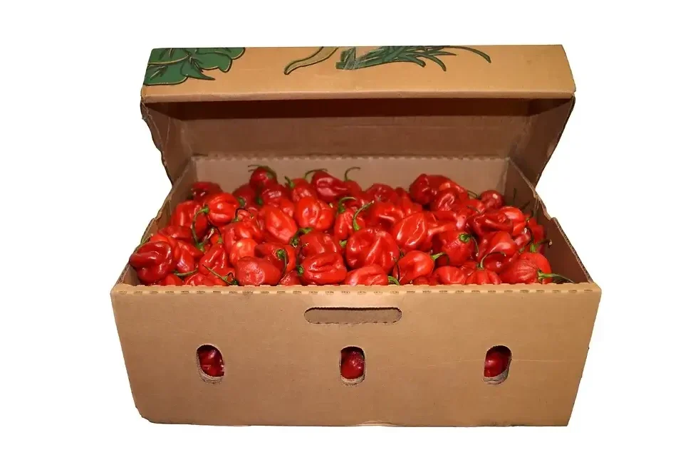 Frozen Habanero (Rodo)