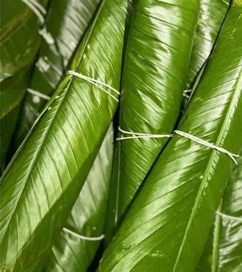 Moinmoin Leaf