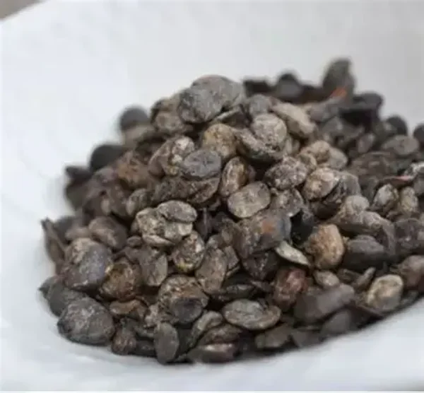 DRY IRU ( Lowcust Bean)