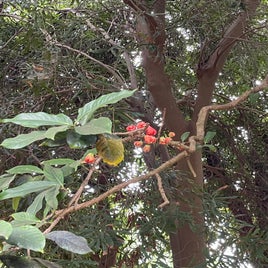 img_7067-standard.jpg