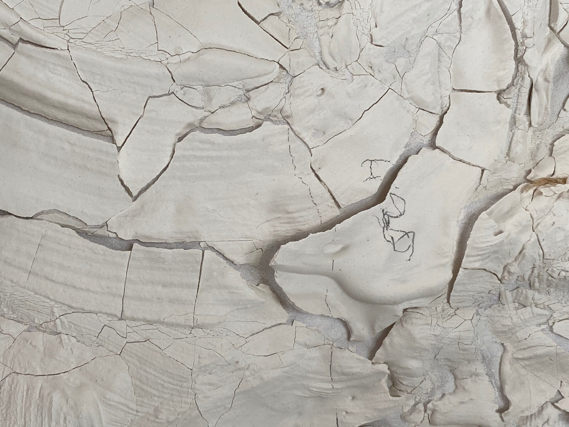 Trauma verwerken psycholoog Ilse Jansoone Gent