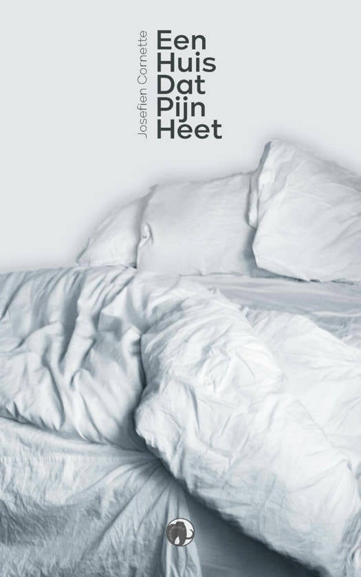 boek-huis-dat-pijn-heet-standard-1u3vvj.jpg