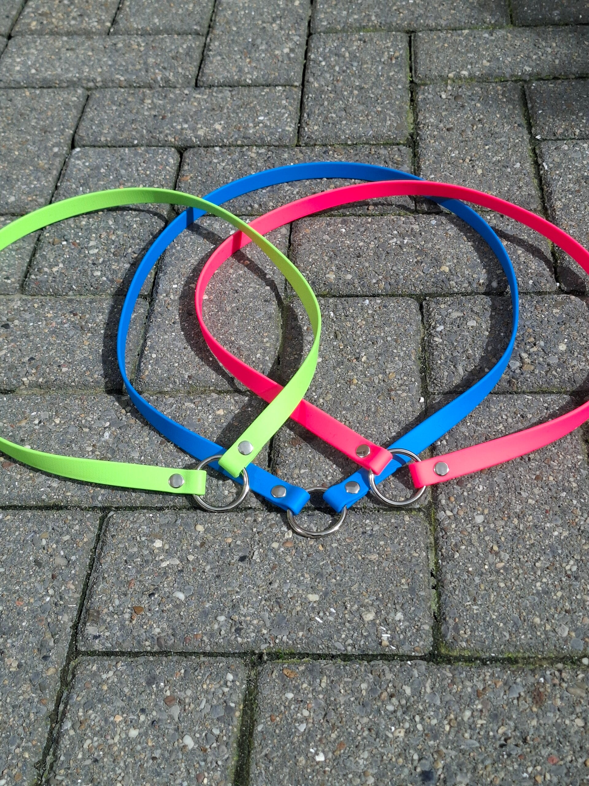 MSS neckrope met ring