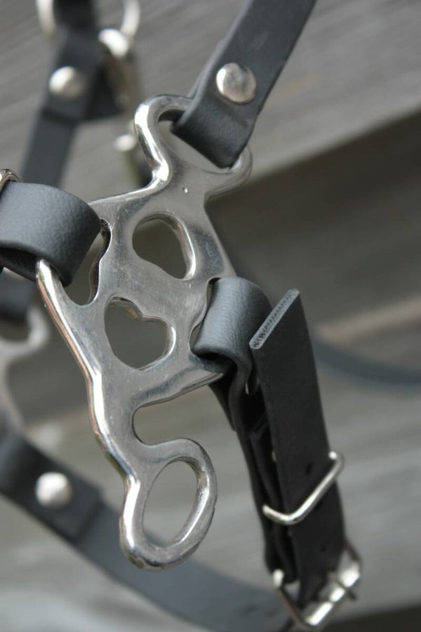 MSS hackamore hoofdstel