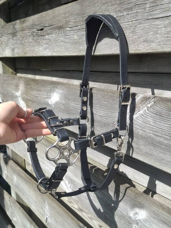 Hackamore hoofdstel