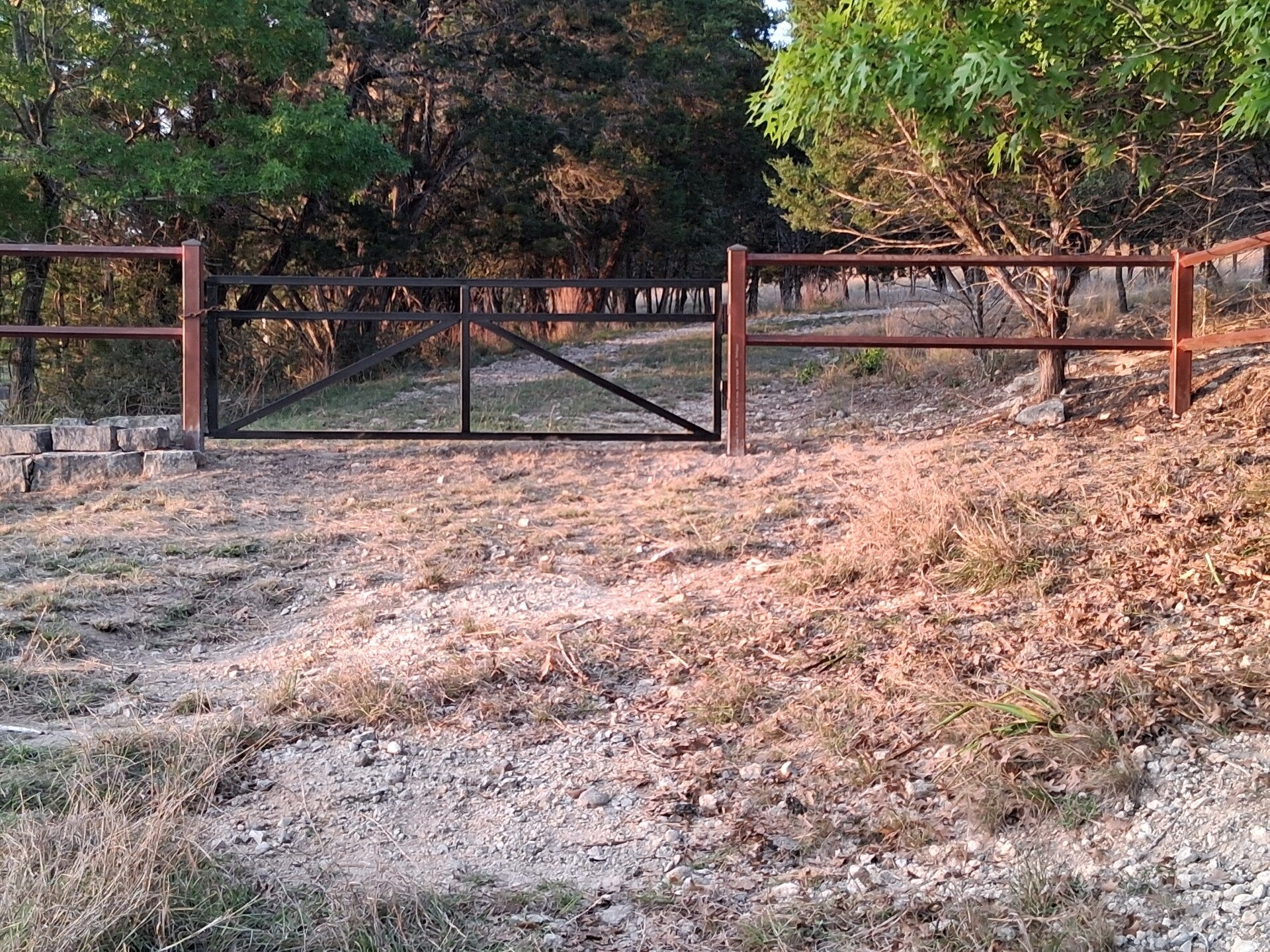 20260331_193204-standard.jpg