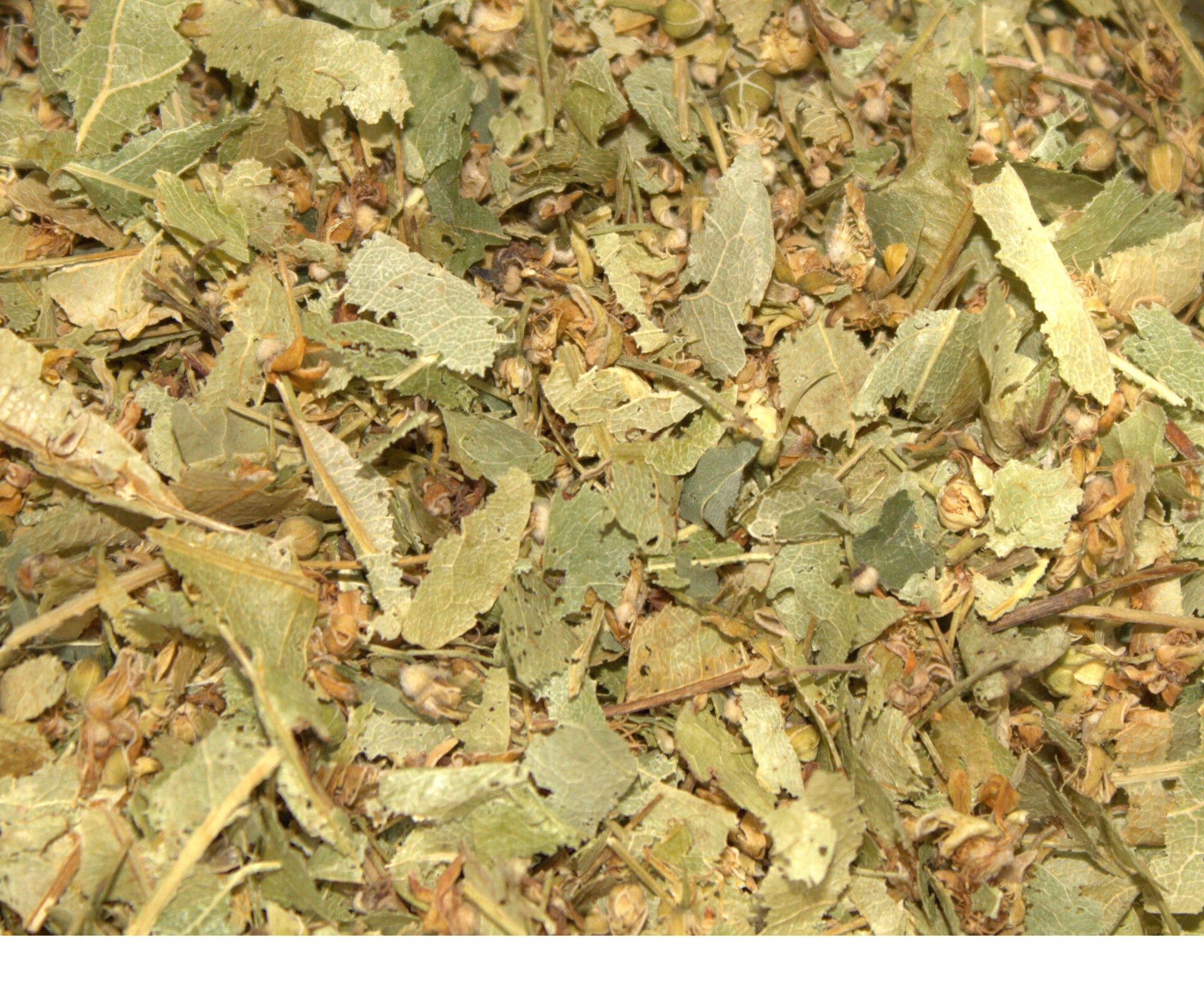 Lindebloesem kruidenthee (50 gram)