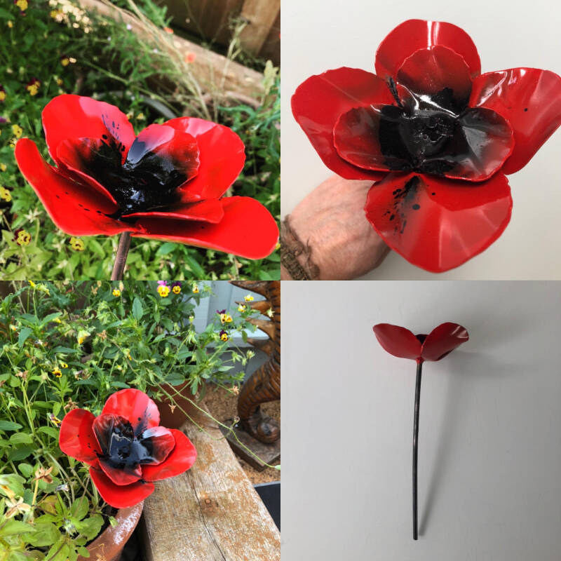poppies-standard.jpg