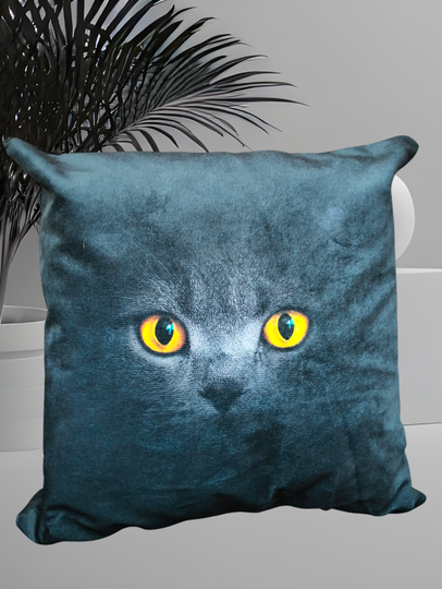 Kussen groot 'katten Ogen'