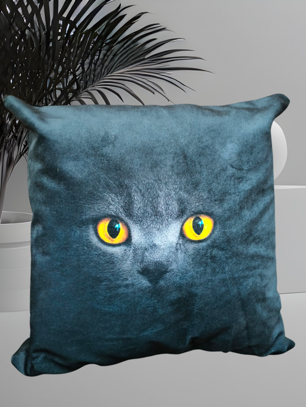 Kussen groot 'katten Ogen'