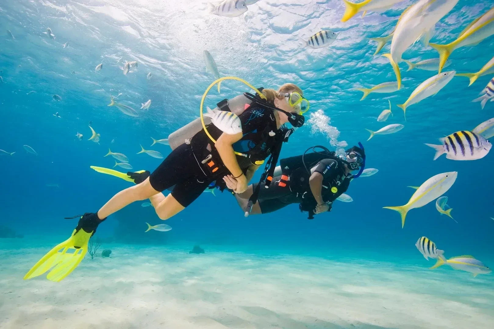 Bautismo de buceo en Koh Tao desde Koh Samui