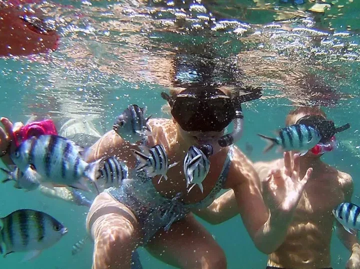 Tours de snorkel en Koh Samui