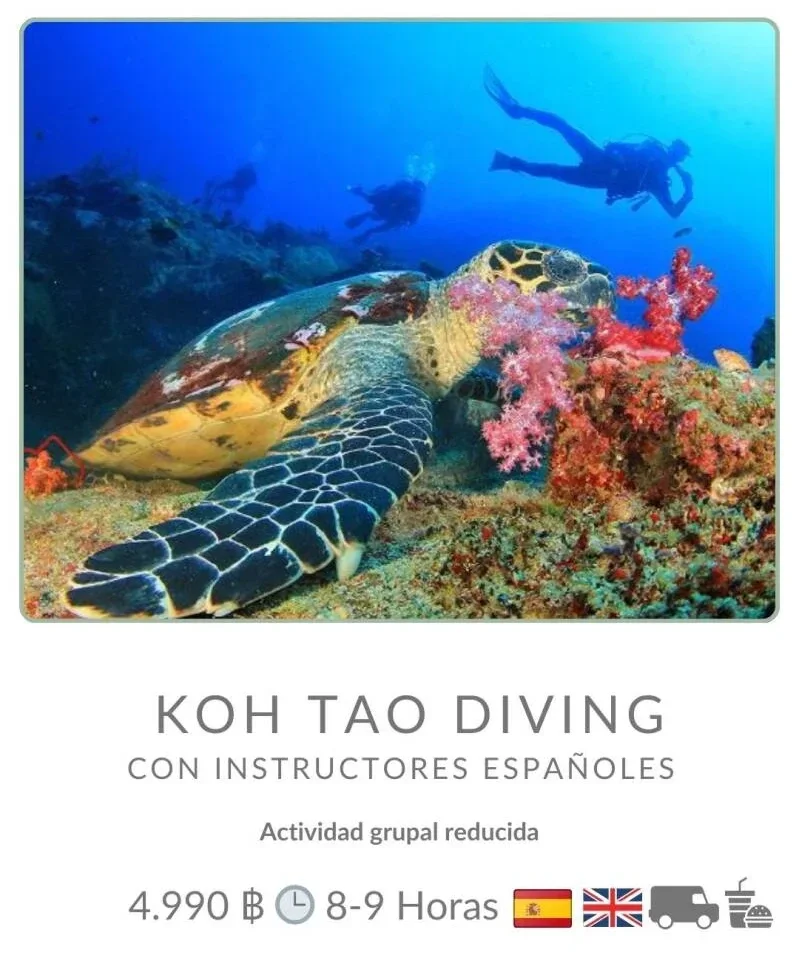 Buceo en Ang Thong en Español