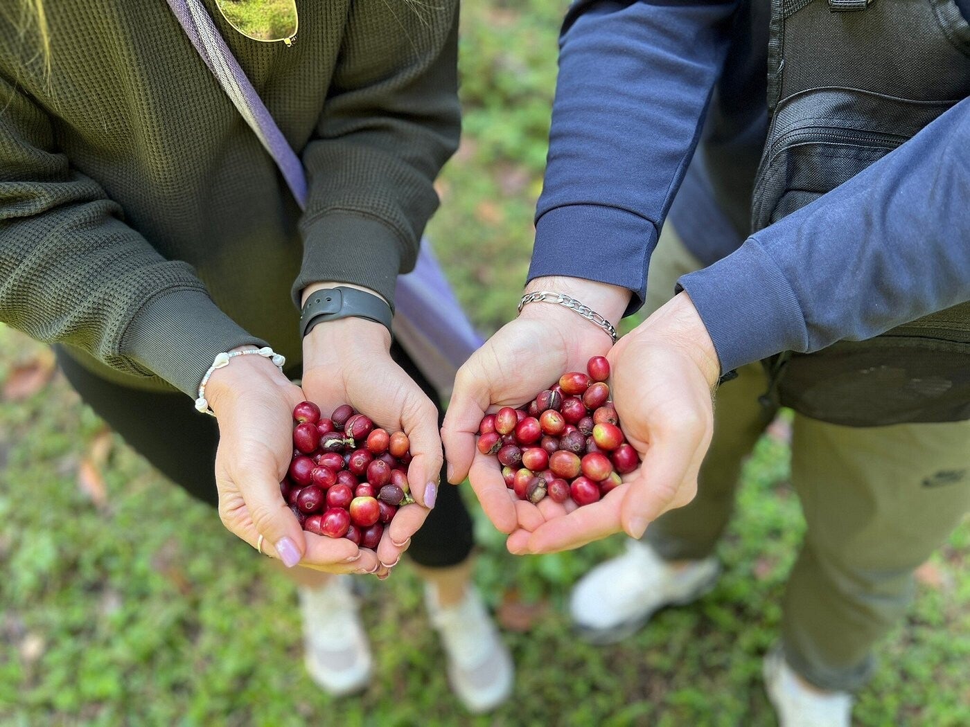 Tour auténtico en la jungla de Chiang Mai