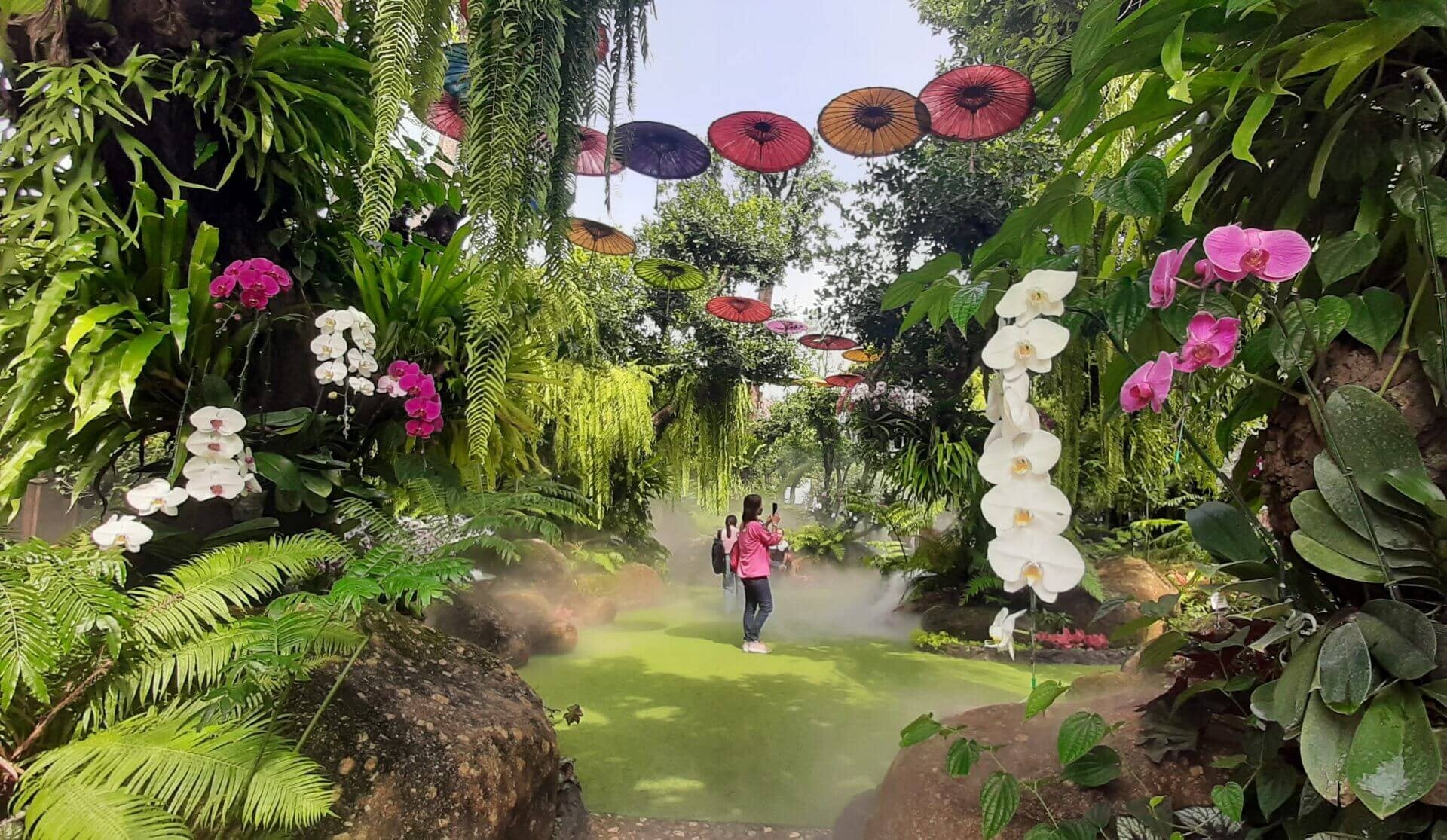 Tour a Lalita Caffe desde Chiang Mai