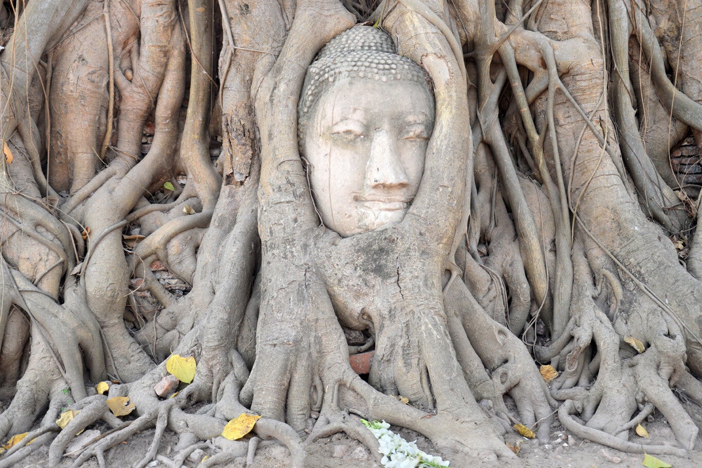 Tour en español a Ayutthaya