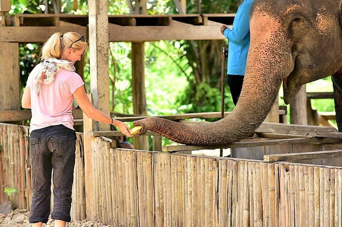 Tour con elefantes en Khao Lak
