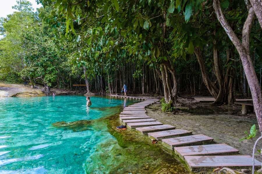 Tour a la piscina esmeralda en Krabi