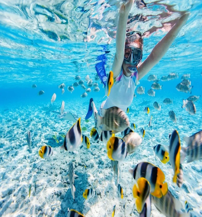 Tour de snorkel desde Phuket