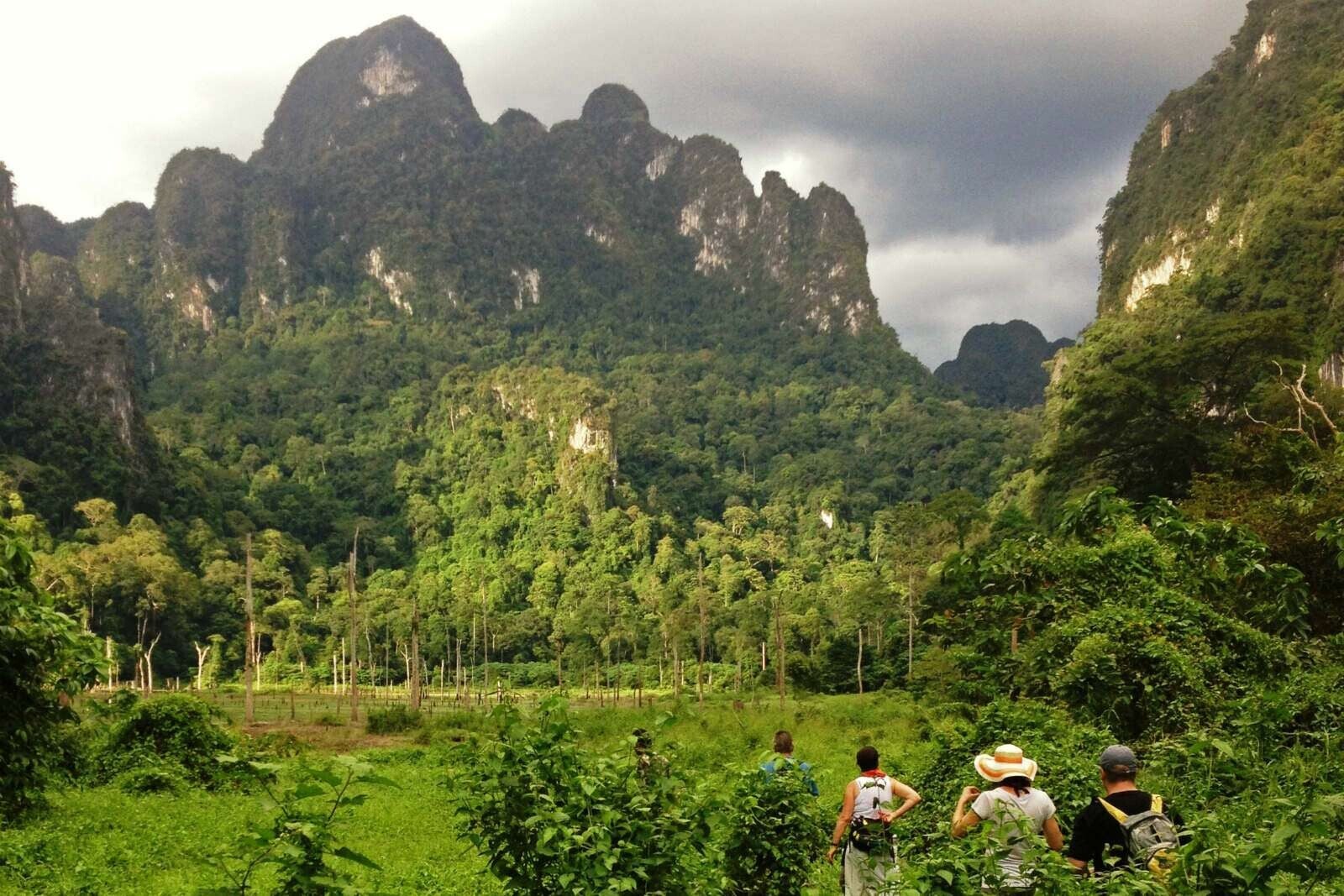 Tour a Khao Sok desde Khao Lak