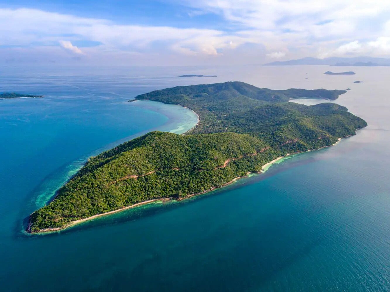 Tour a Pig Island