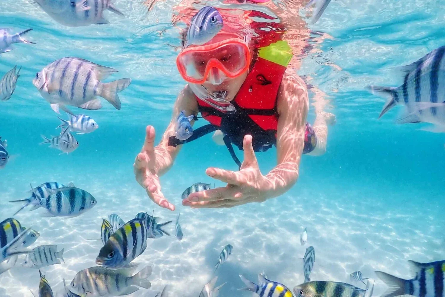 Snorkel en Koh Tao grupo reducido