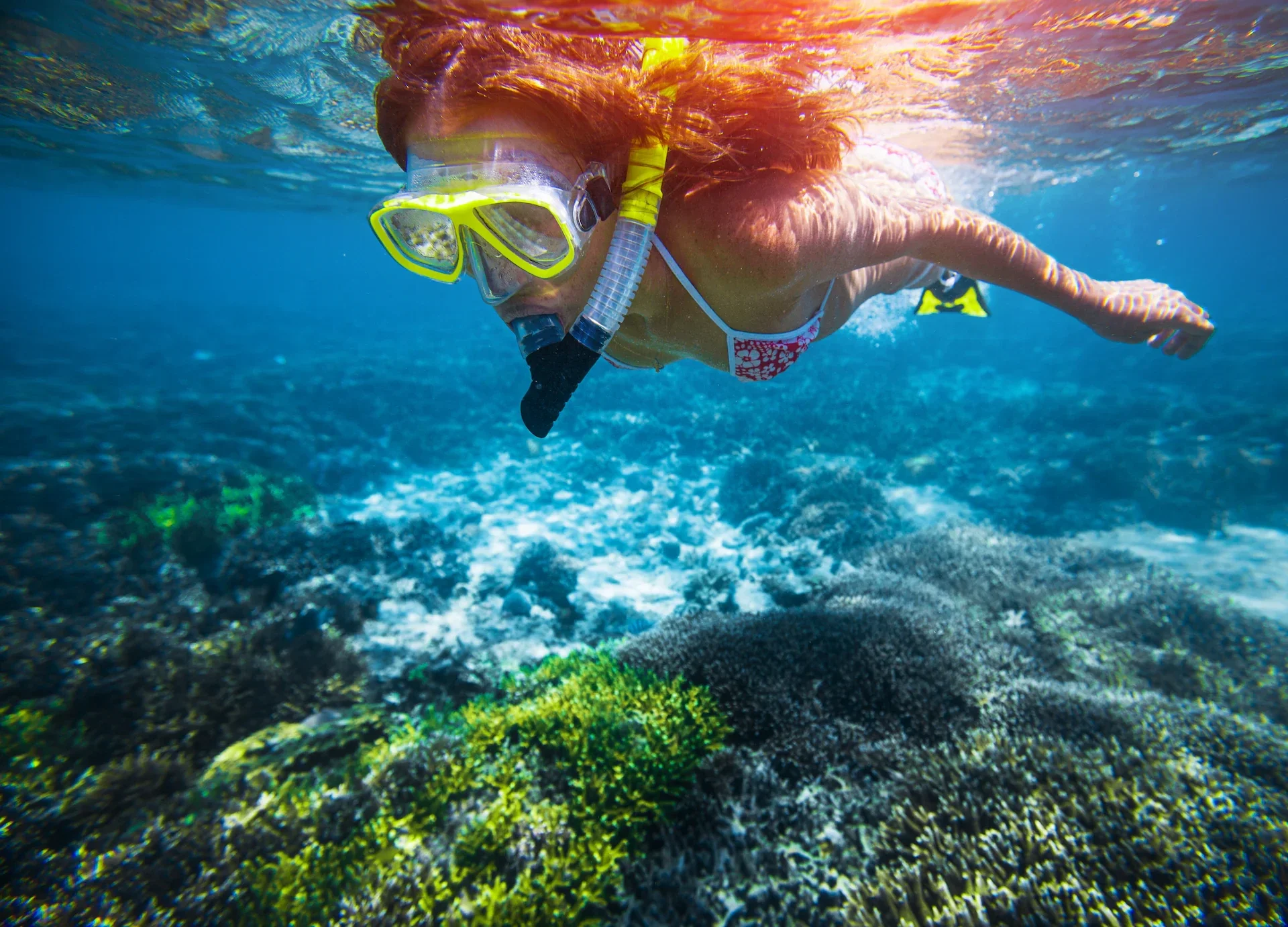 Tour de snorkel en Koh Tao por la tarde