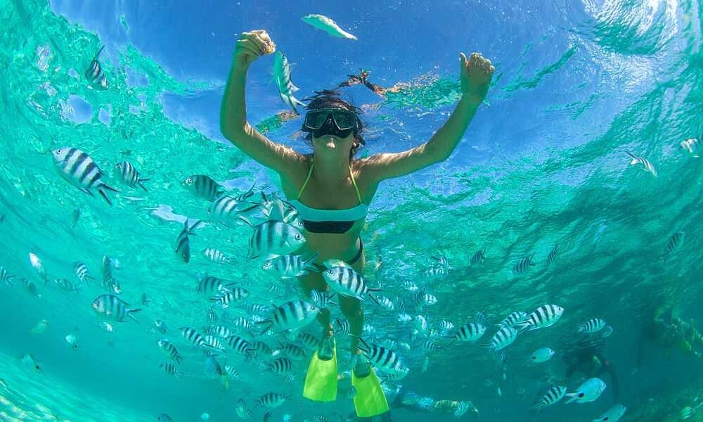 Tour para nadar con tortugas marinas en Koh Tao