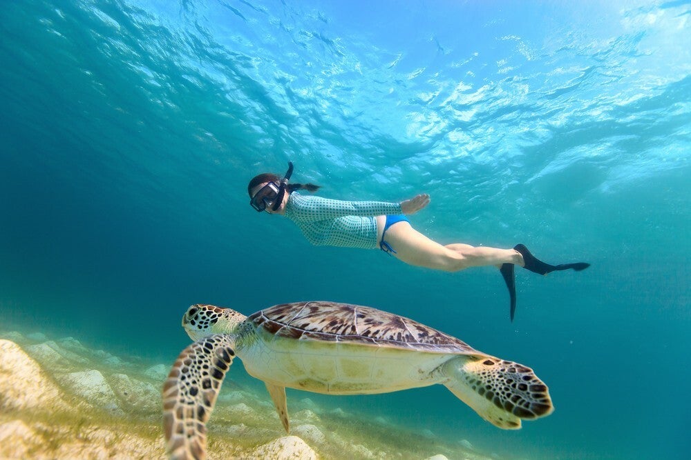 Snorkel en Koh Tao grupo reducido por la tarde