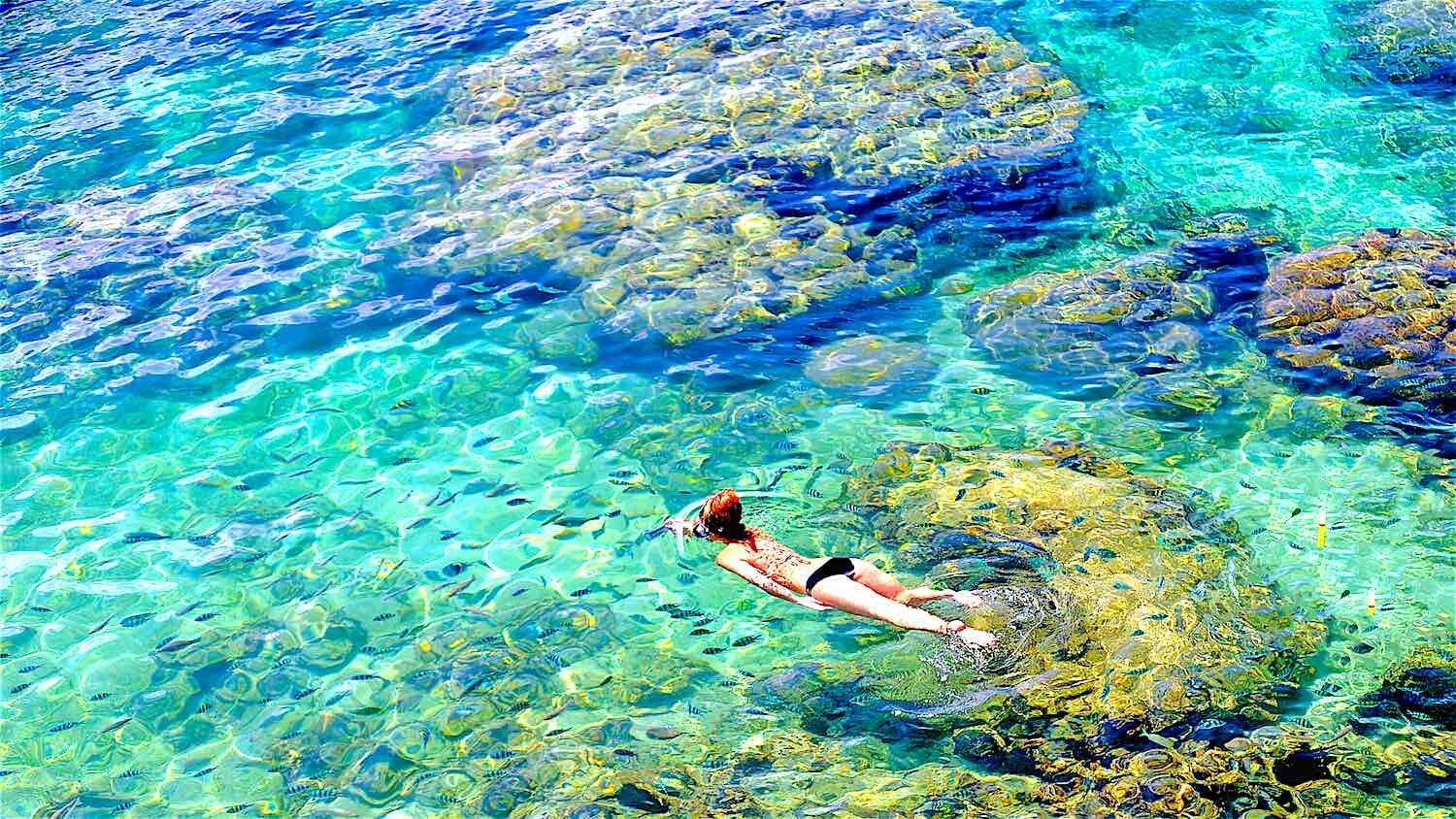 Snorkel en Koh Tao y Nang Yuan
