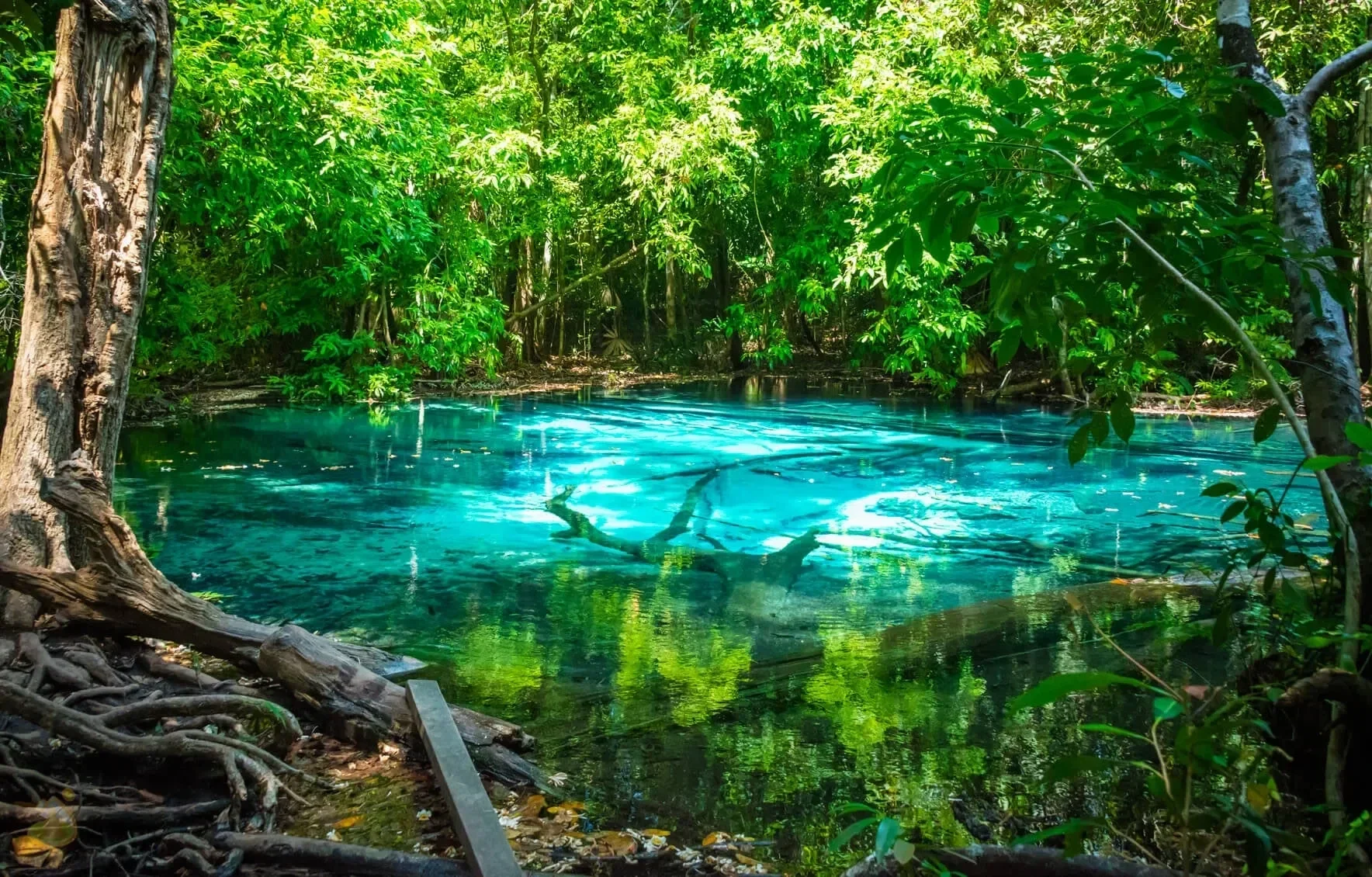 Tour de aventura en Krabi
