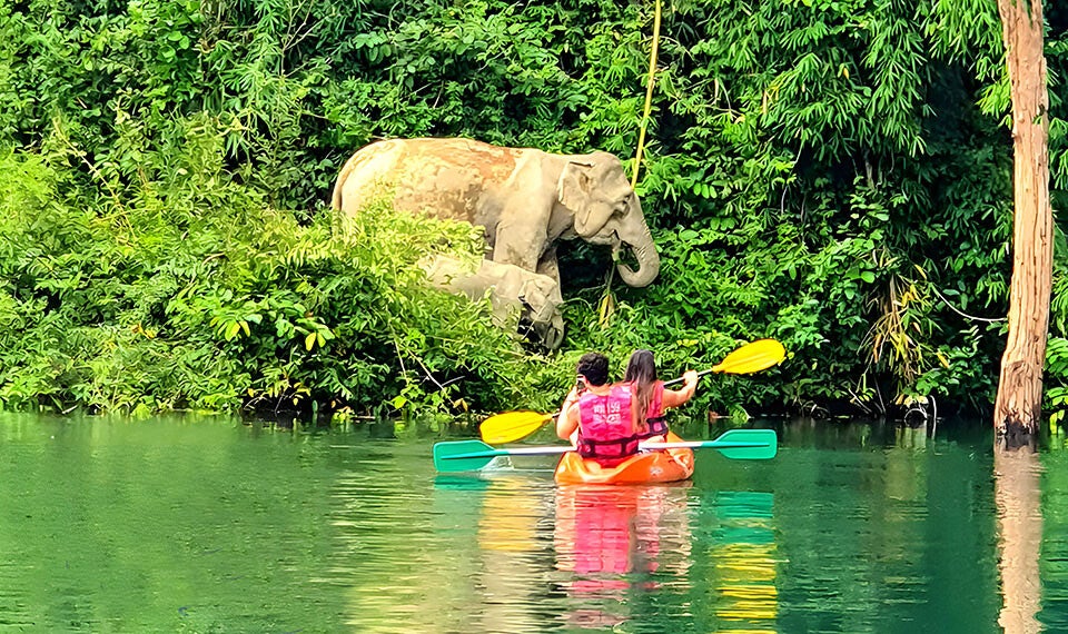 Tour a Khao Sok