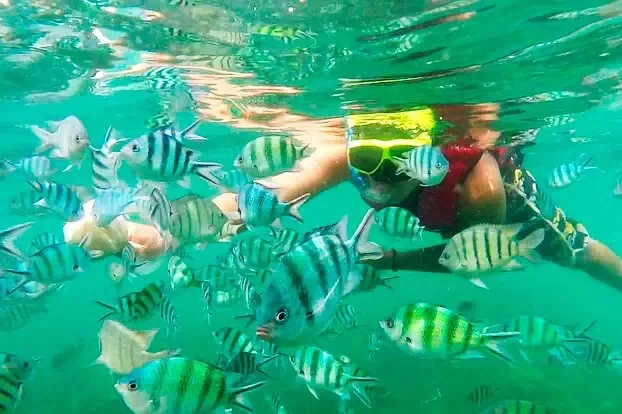 Tour de snorkel en Koh Samui