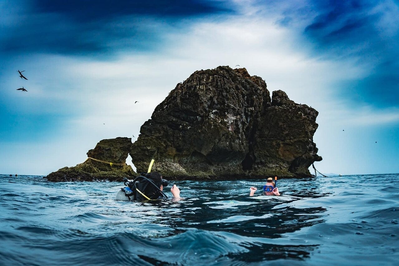 Buceo en Sail Rock desde Koh Samui