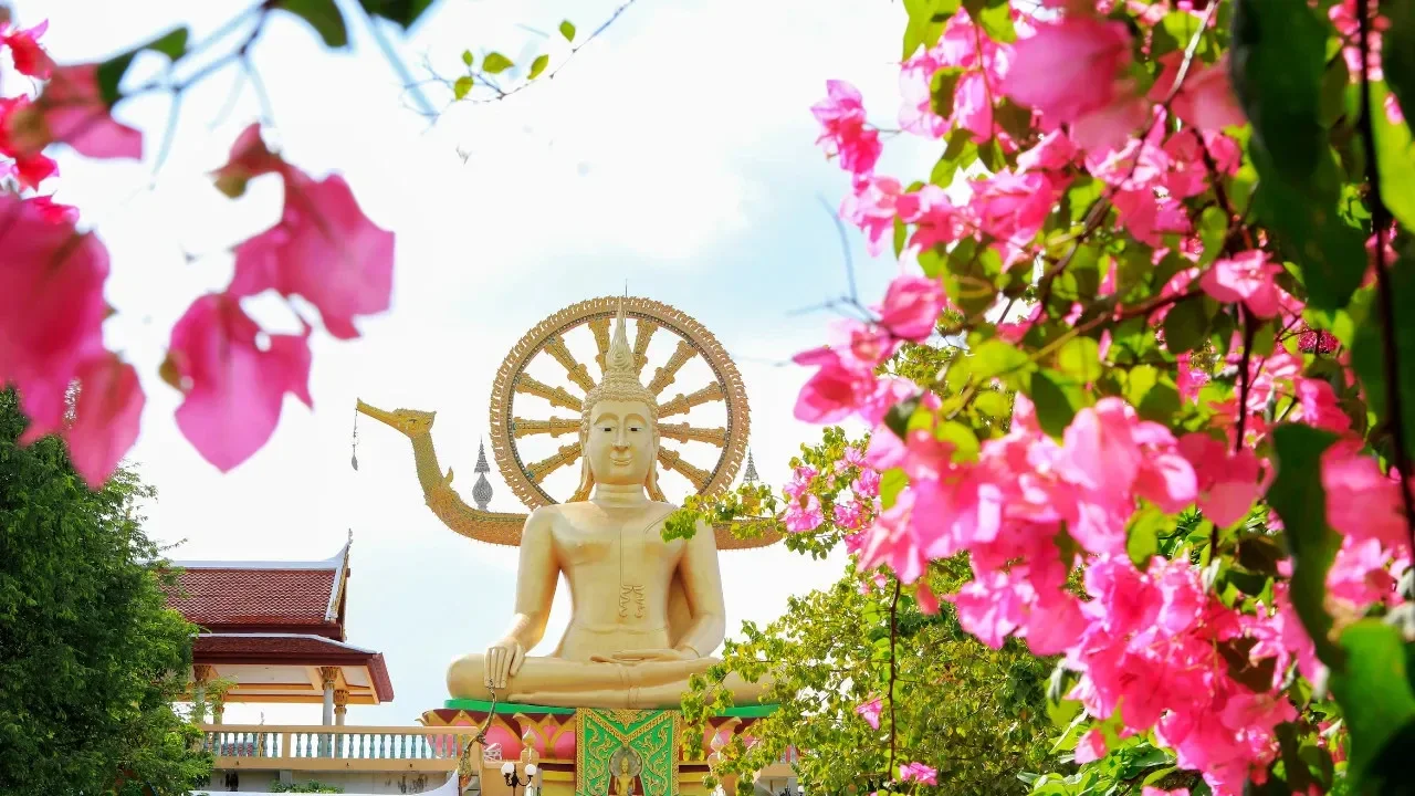Tour cultural privado por Koh Samui