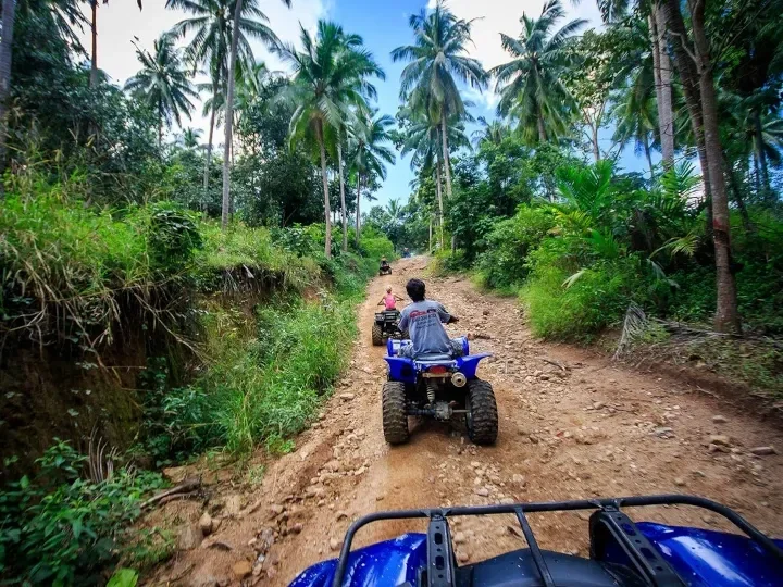 Tour de quad en Koh Samui