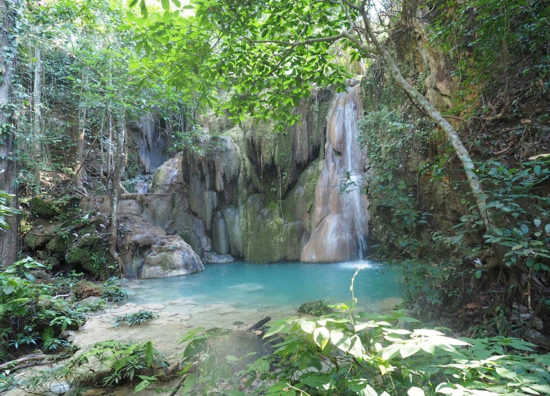 Tour de naturaleza en Chiang Mai