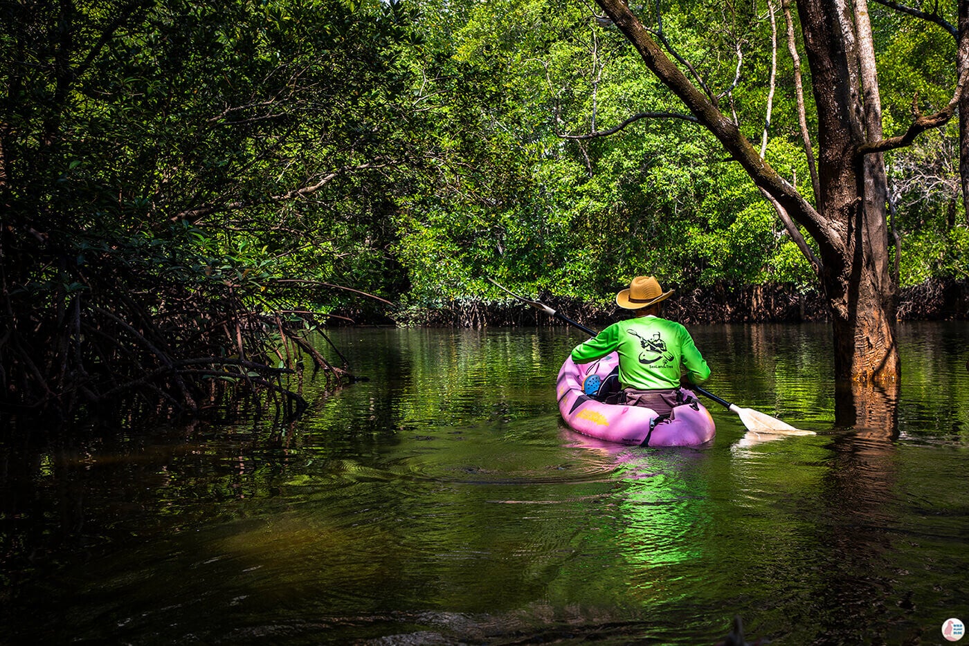 Excursión en kayak en Krabi