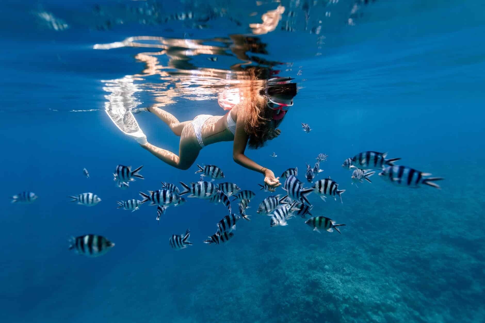 Tour de snorkel a Koh Tao desde Koh Phangan