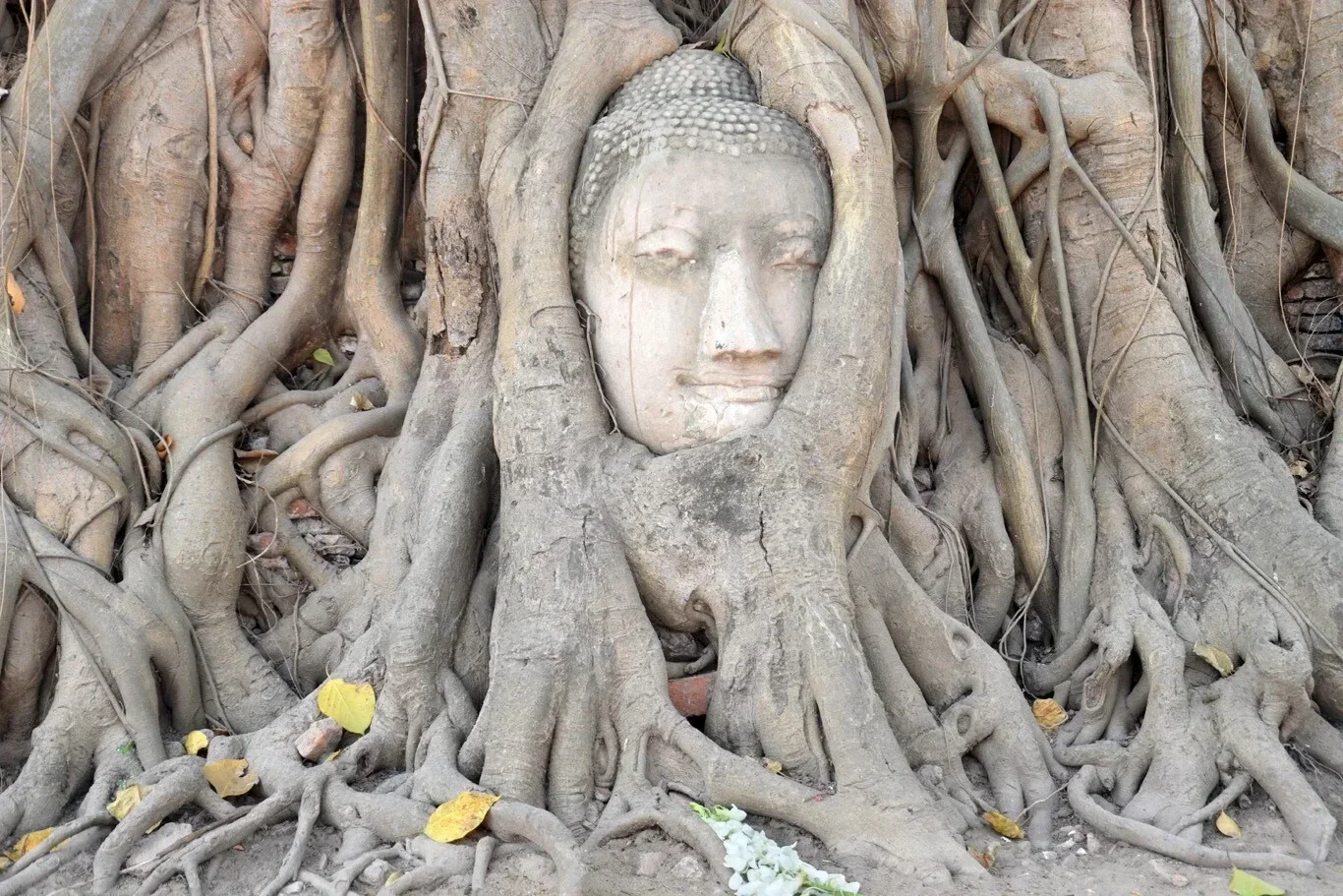 Tour privado a Ayutthaya desde Bangkok