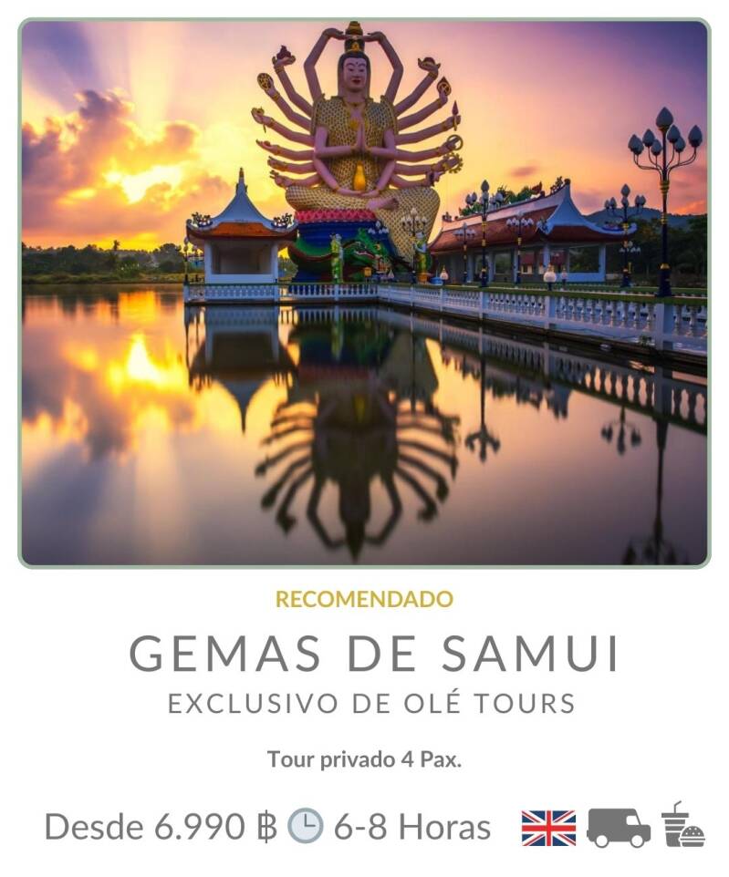 Tour Privado en Koh Samui