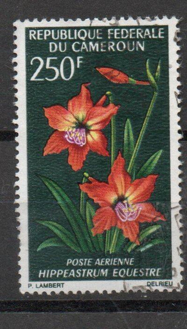 b89- Kamerun Nr. 517 gestempelt/ o