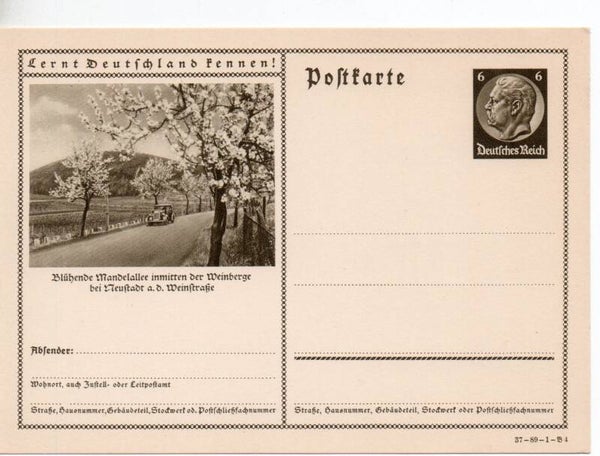 Deutsches Reich Bildpostkarte P236/ 37-89-1-B4 ungebraucht/ *