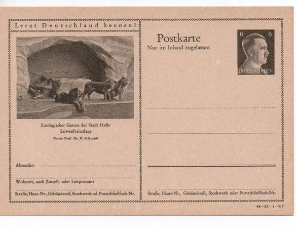 Deutsches Reich Bildpostkarte P307/ 42-23-1-B7 ungebraucht/ *