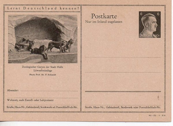 Deutsches Reich Bildpostkarte P307/ 42-23-1-B8 ungebraucht/ *