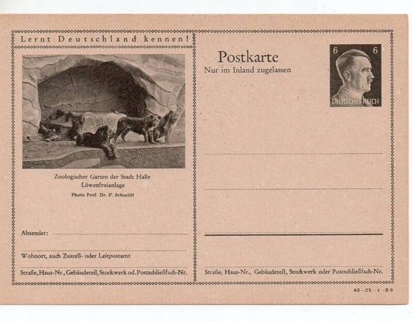 Deutsches Reich Bildpostkarte P307/ 42-23-1-B9 ungebraucht/ *