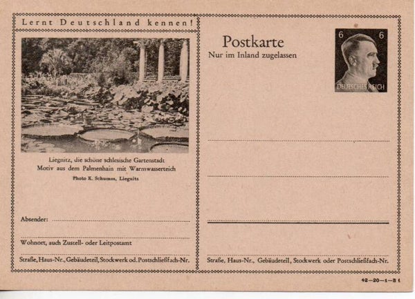 Deutsches Reich Bildpostkarte P307/ 42-20-1-B1 ungebraucht/ *