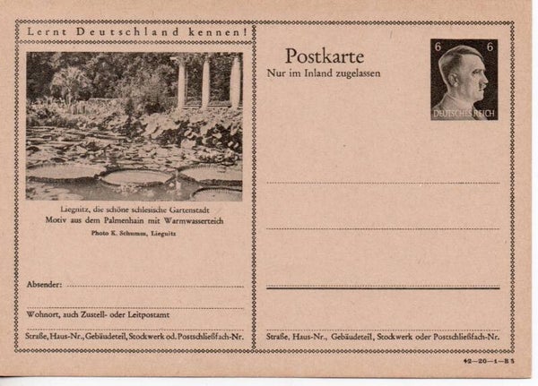 Deutsches Reich Bildpostkarte P307/ 42-20-1-B3 ungebraucht/ *
