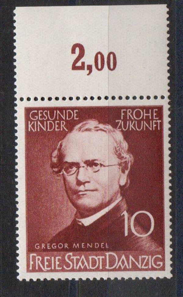 Danzig  Nr. 306 postfrisch/ **