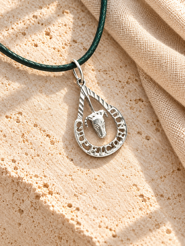 Colgante del signo Capricornio en plata de ley con cordón negro